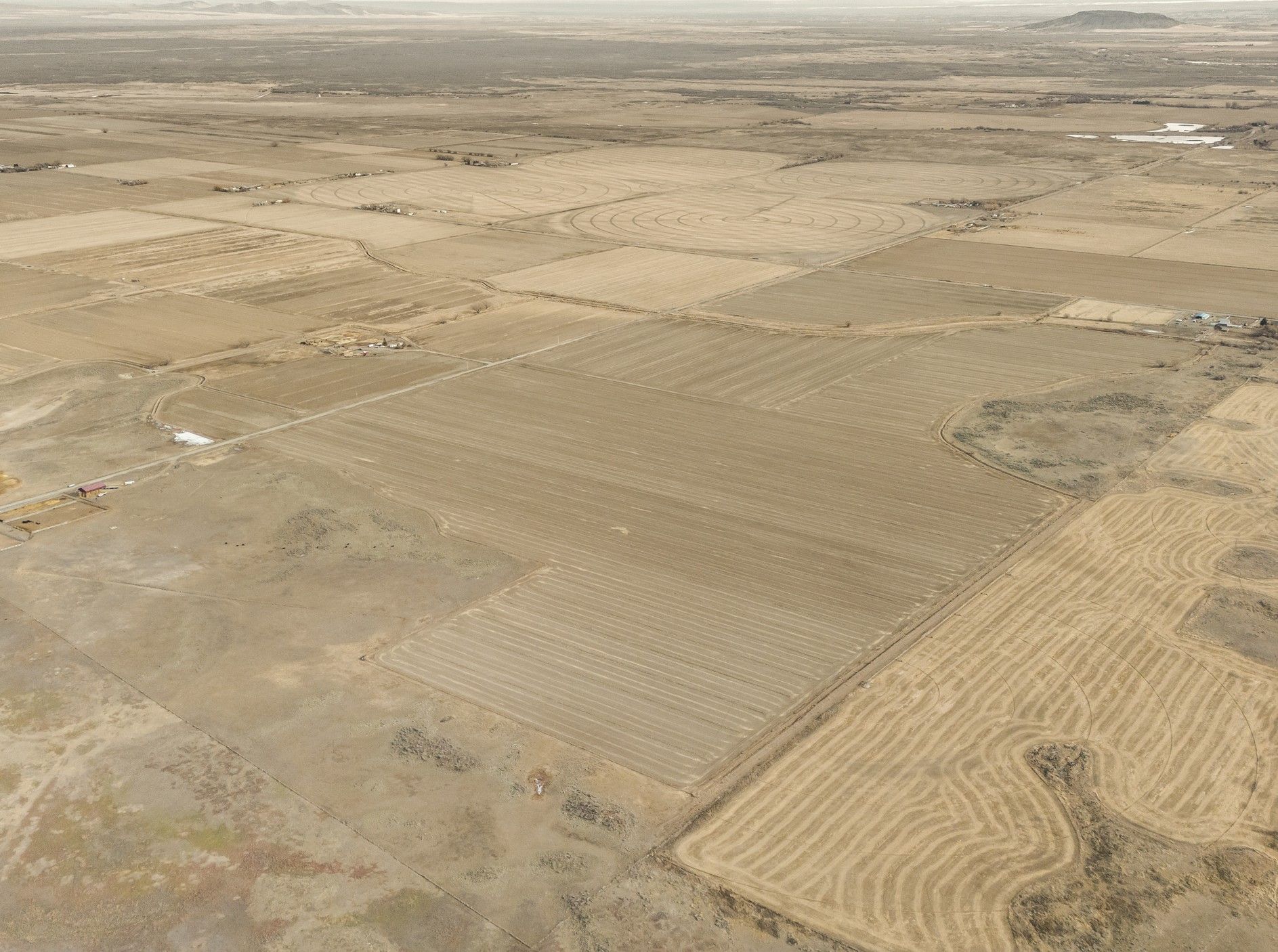 Listing Photo: Jefferson-County-Idaho-Irrigated-Farm-275-Acres (3)